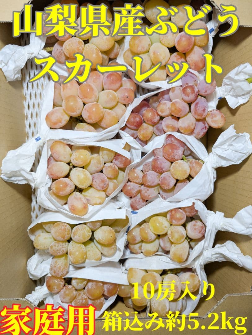 山梨県産ぶどう　スカーレット　10房入り　箱込み約5.2kg
