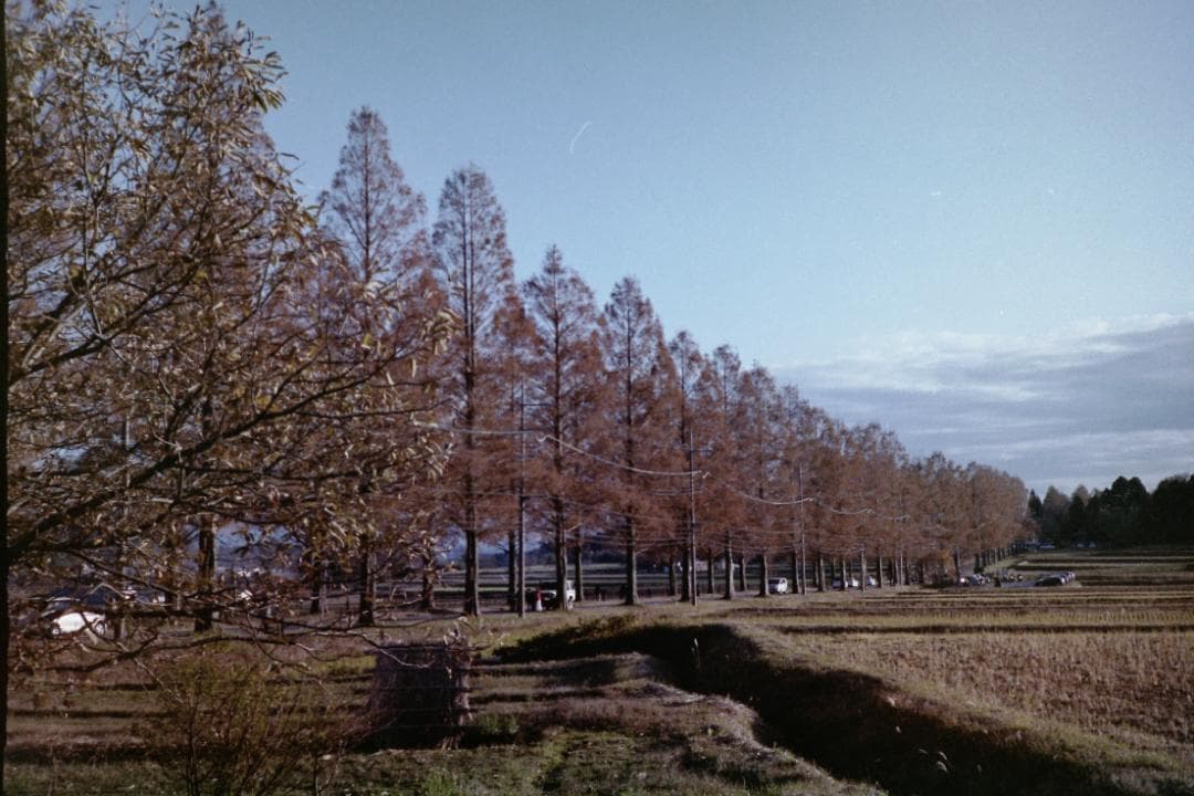 ☆レトロなフィルムカメラ☆KONICA コニカ C35 AF2D