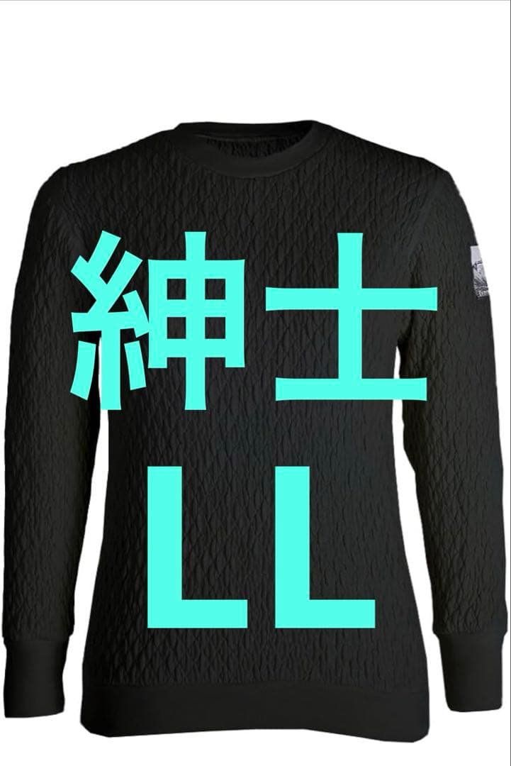 【新品未使用】ひだまり肌着 エベレストX 紳士用丸首インナー ブラックサイズLL