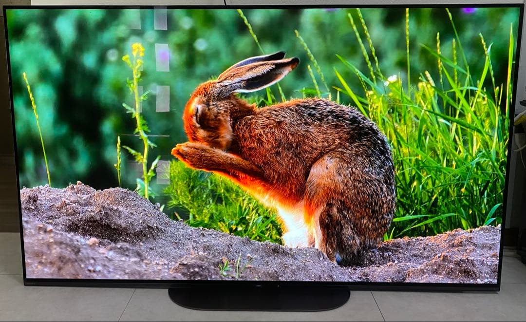 SONY BRAVIA 55インチ 4K 有機ELテレビ KJ-55A9G