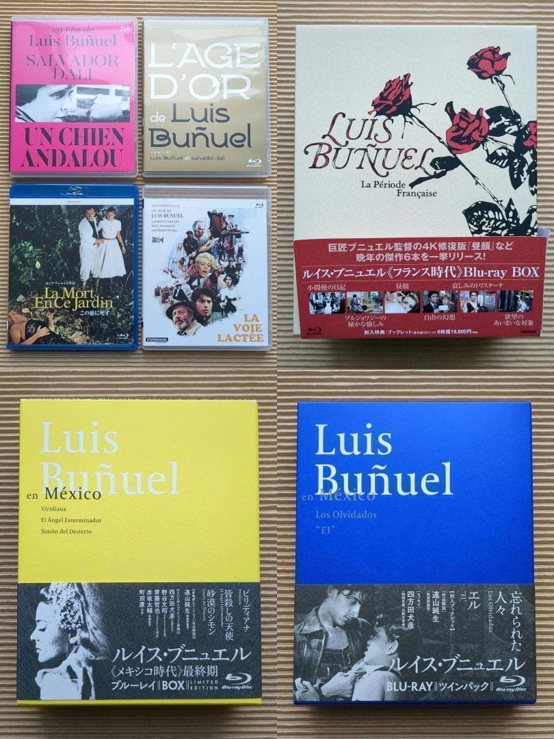 ルイス・ブニュエル Blu-ray ブルーレイ セット カトリーヌ・ドヌーヴ他
