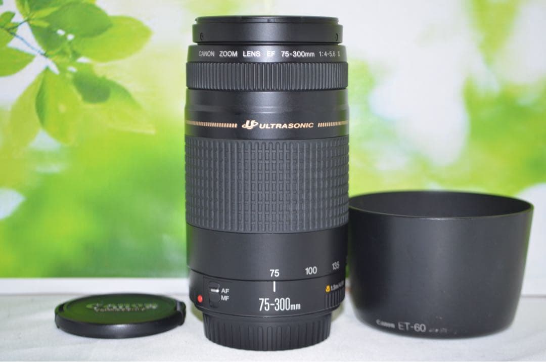 ★美品級★300mm超望遠レンズ★CANON EF 75-300mm