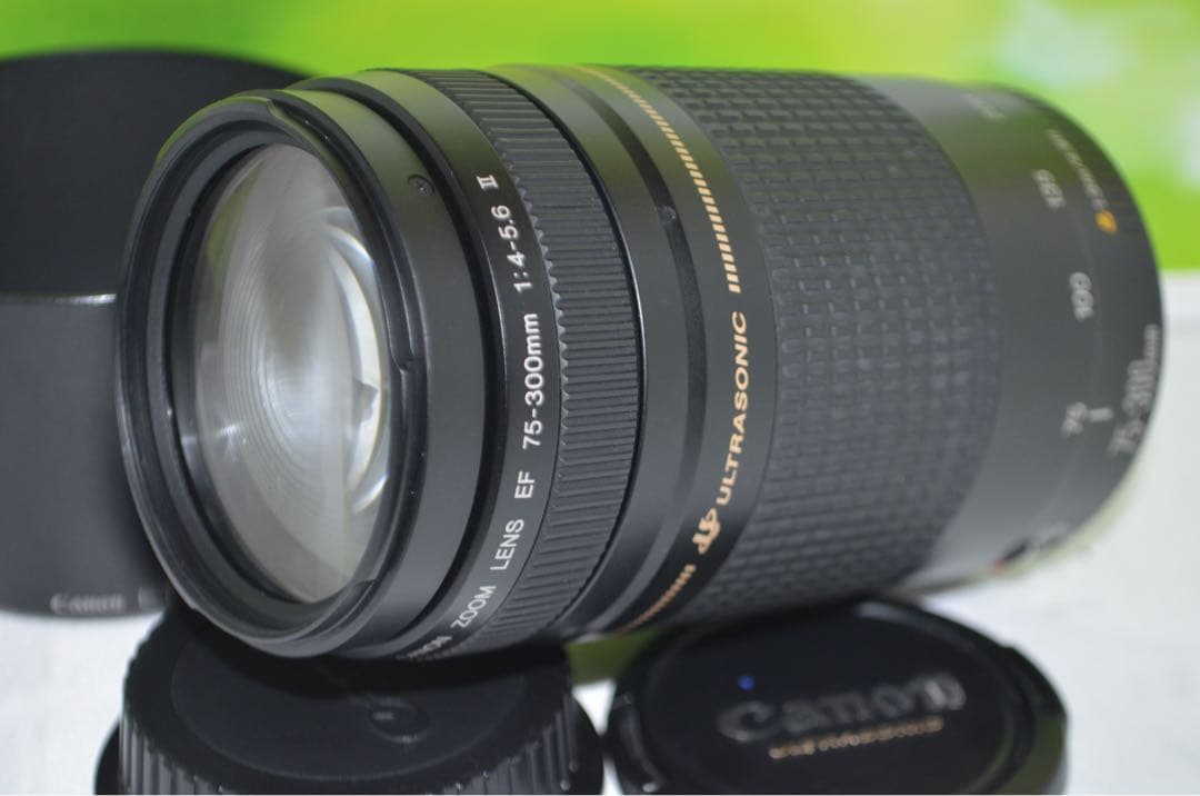 ★美品級★300mm超望遠レンズ★CANON EF 75-300mm