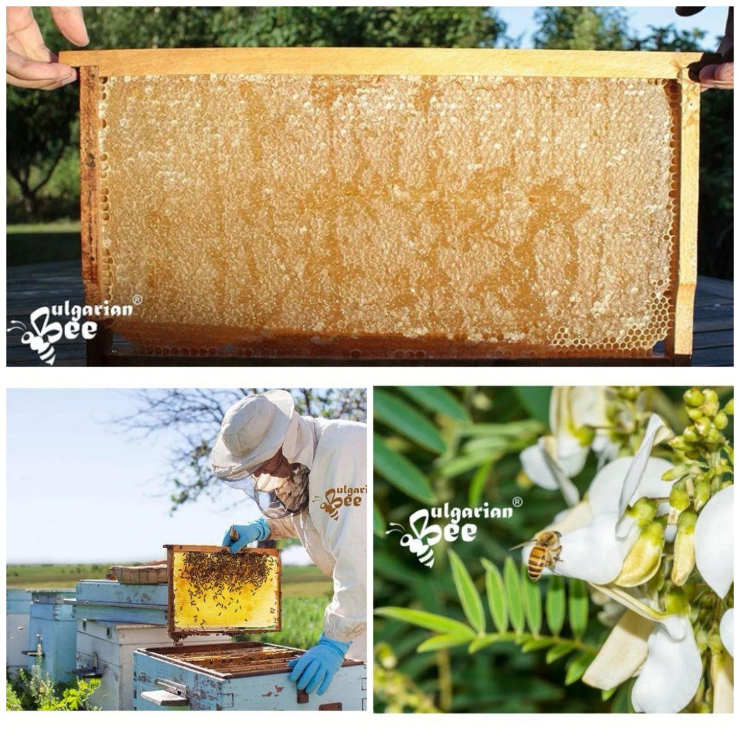 バルボア24個EU認定オーガニック リンデン巣蜜 350g.ブルガリア産