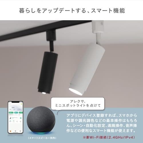 エジソンスマート ミニスポットライト (ダクトレール用/ホワイト) AlexaA