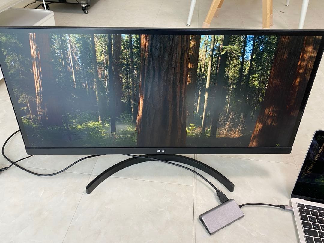 LG ウルトラワイドディスプレイ