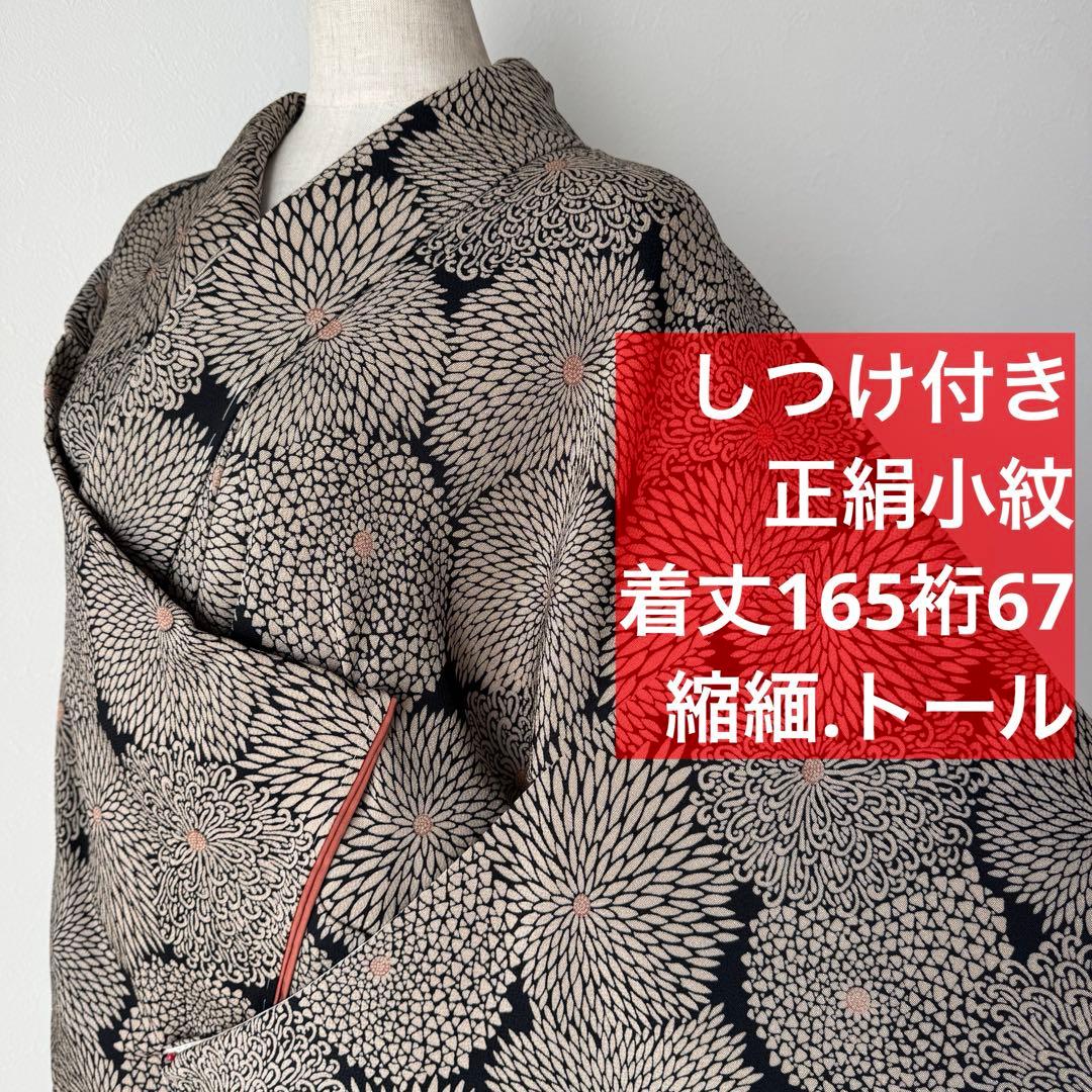 しつけ付き　正絹　小紋　和装　現代　着物　袷　165裄67 黒　縮緬　菊　トール