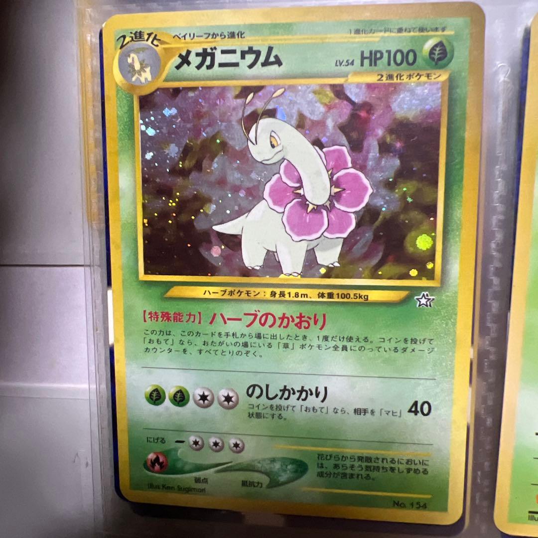 メガニウム　マークなし