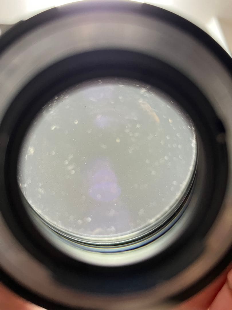 NIKKORレンズ　プー