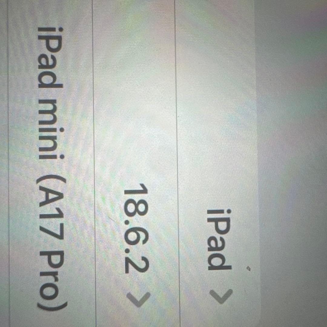 Apple iPad mini A17pro本体