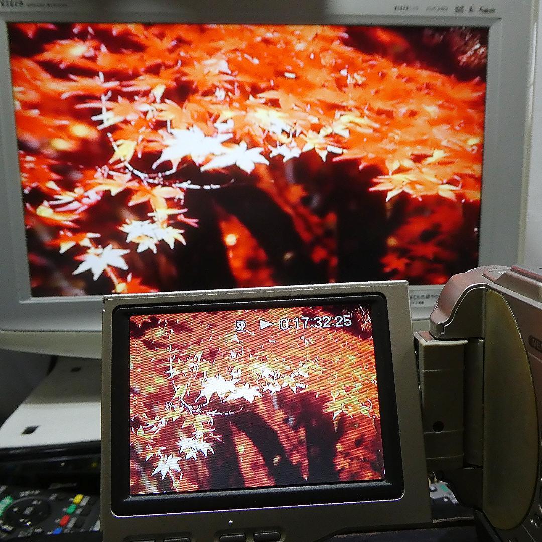 動作品ソニー DCR-TRV10 Mini DVビデオカメラDVDダビングに最適