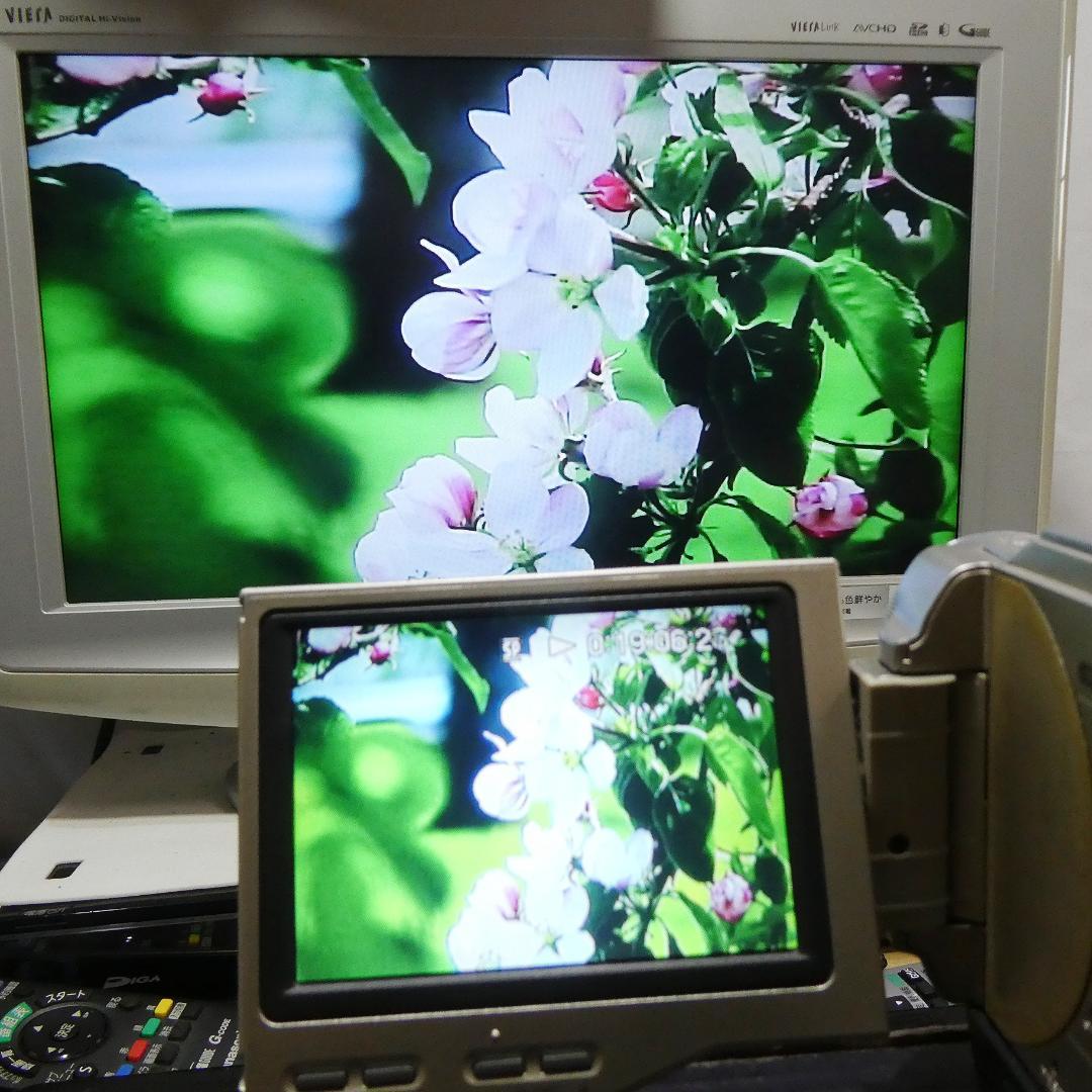 動作品ソニー DCR-TRV10 Mini DVビデオカメラDVDダビングに最適