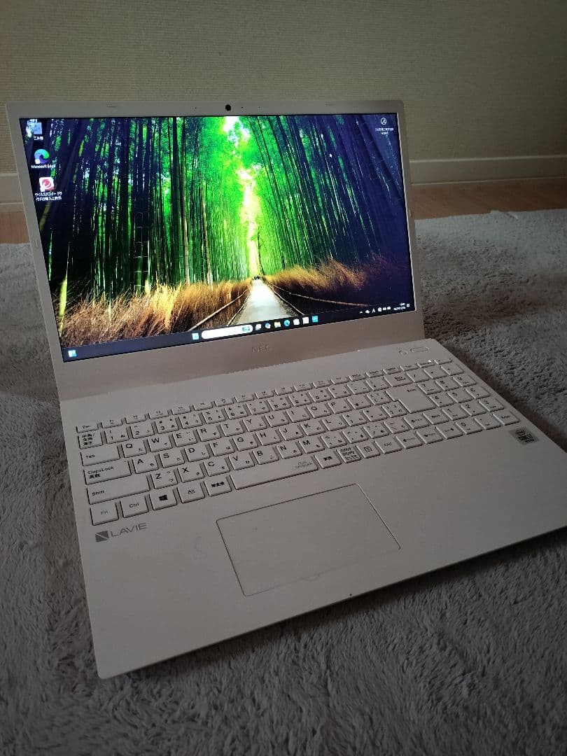 Windowsノート本体 LAVIE PC-N157CAAW