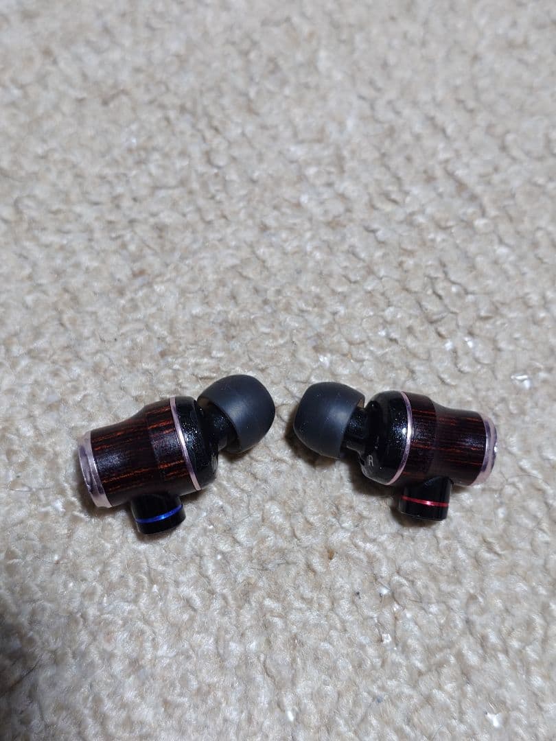 JVC HA-FW02(箱・ケース・イヤーピース付属有り)