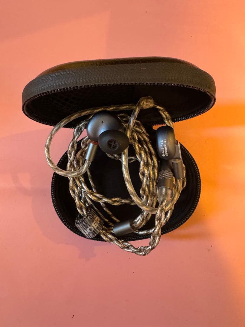 LETSHUOER 有線イヤホン ハードケース付き