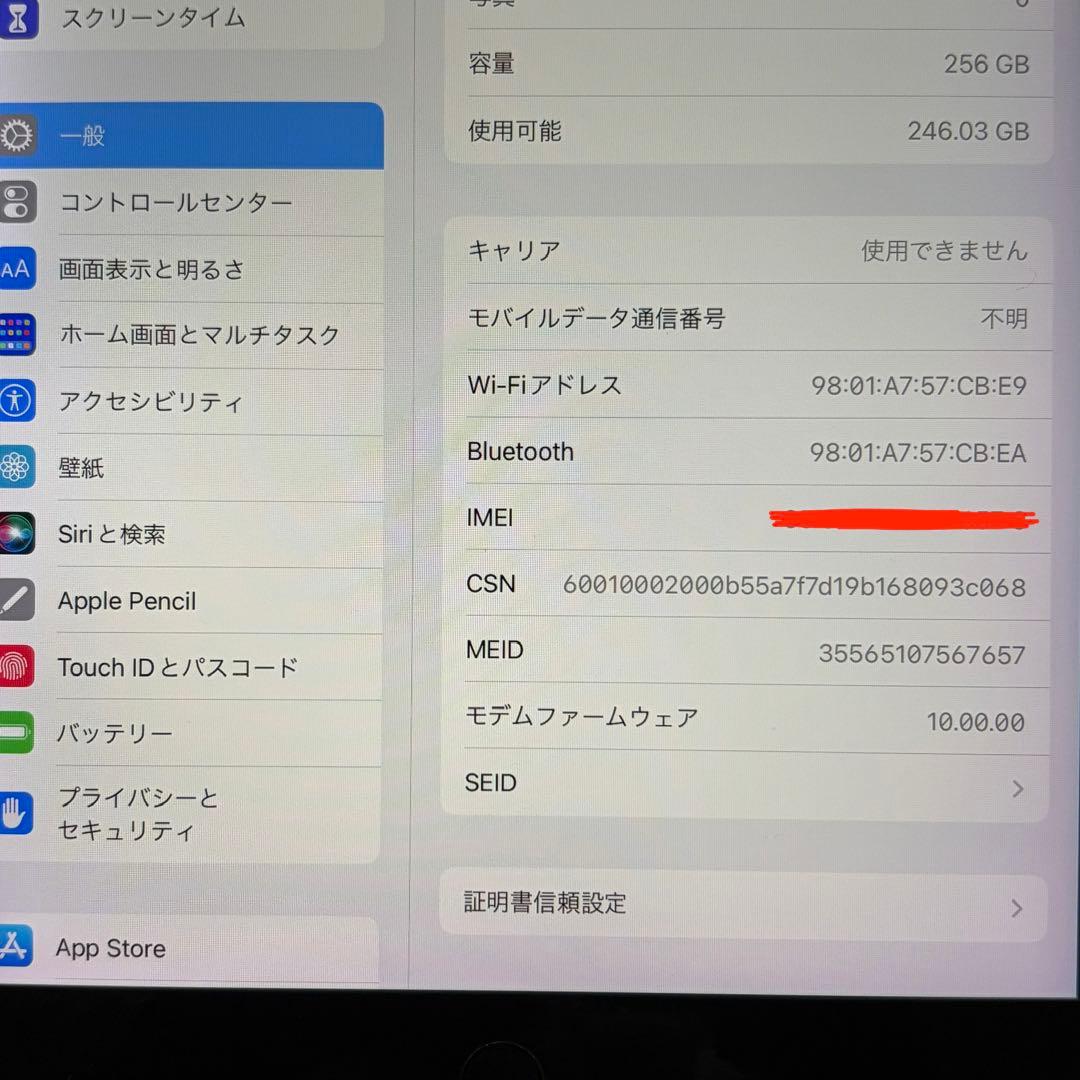 iPad Pro 9.7インチ Cellular 256GB MLQ62J/A
