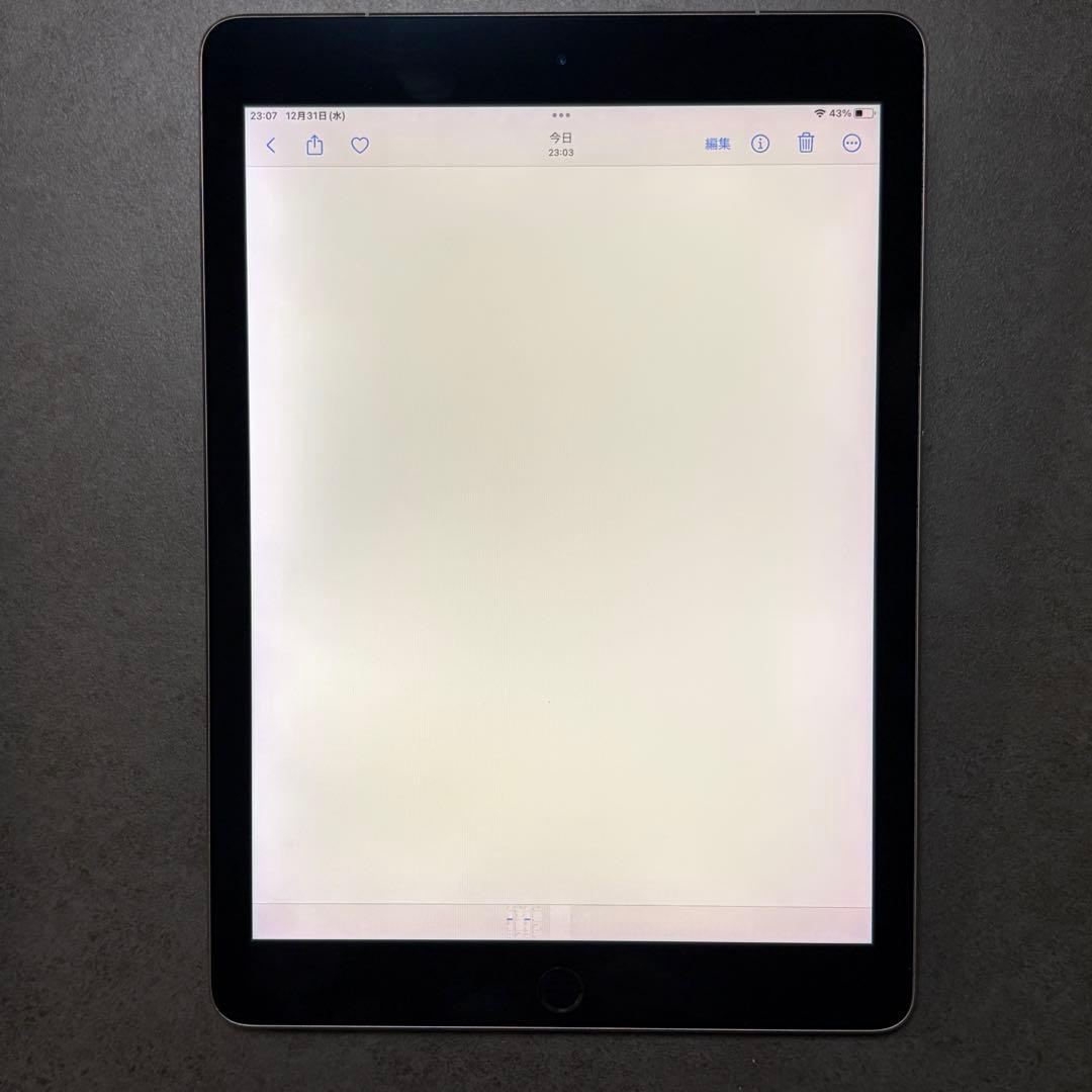 iPad Pro 9.7インチ Cellular 256GB MLQ62J/A