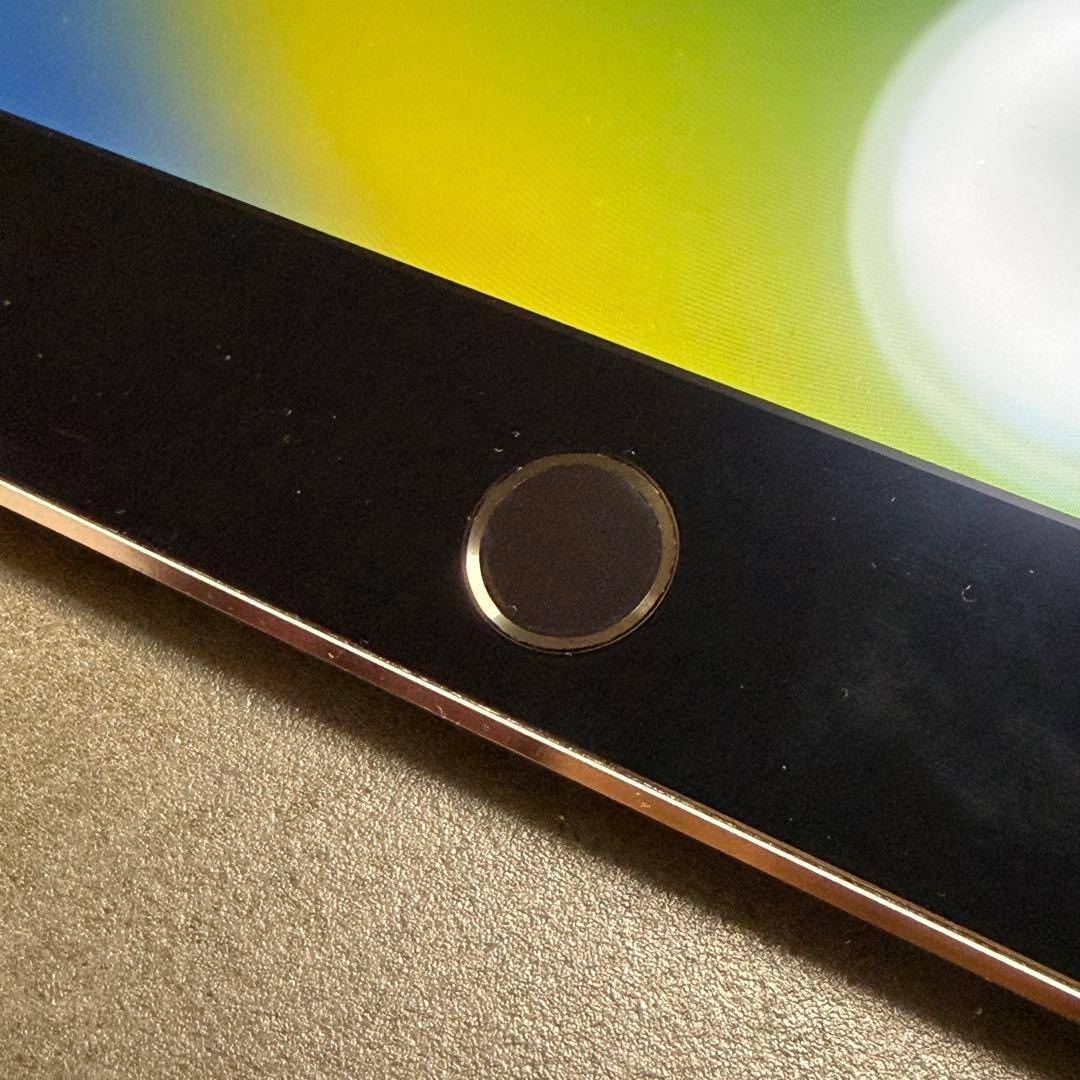 iPad Pro 9.7インチ Cellular 256GB MLQ62J/A