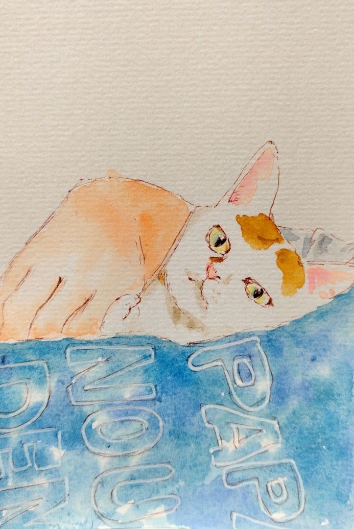 にゃっちページ