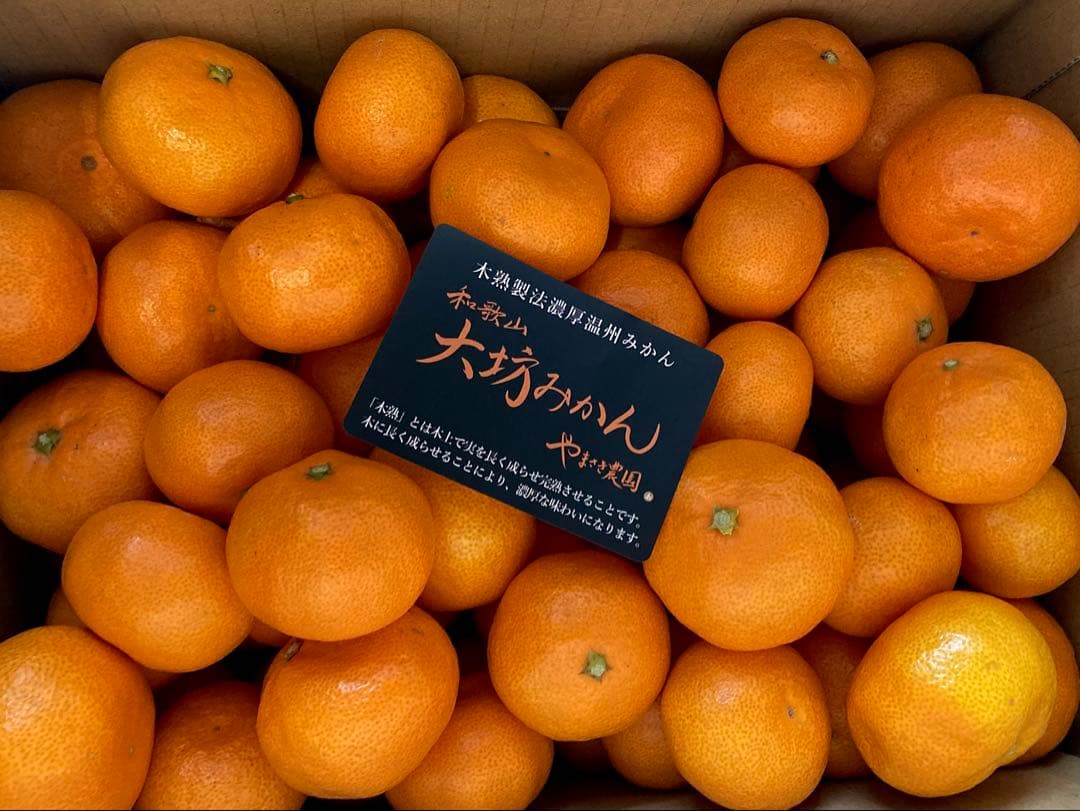 ⑤温州みかん 樹熟大坊みかん 秀品(贈答品同様)2S、Sサイズ10kg