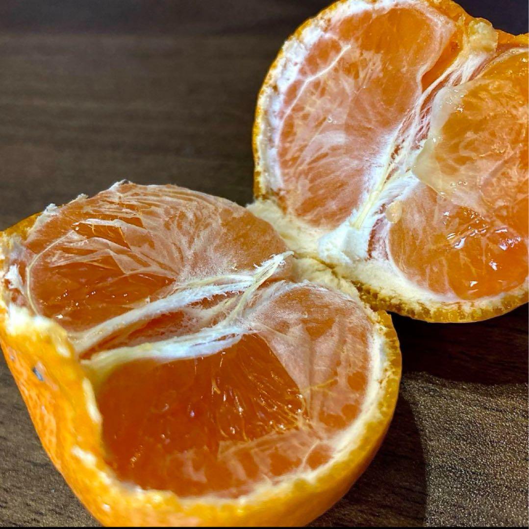 ⑤温州みかん 樹熟大坊みかん 秀品(贈答品同様)2S、Sサイズ10kg