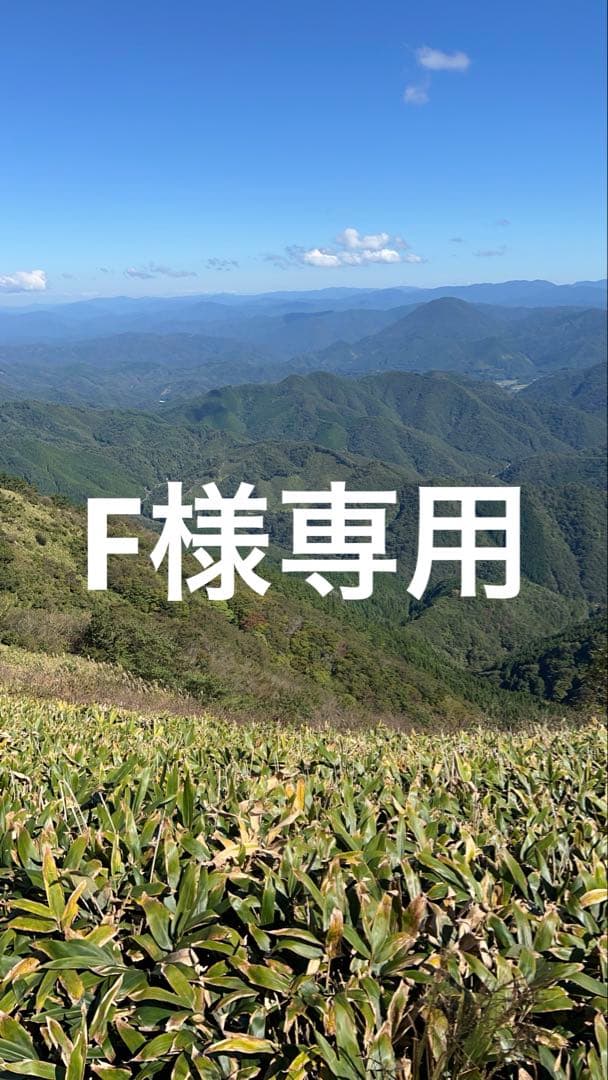 専用出品です。