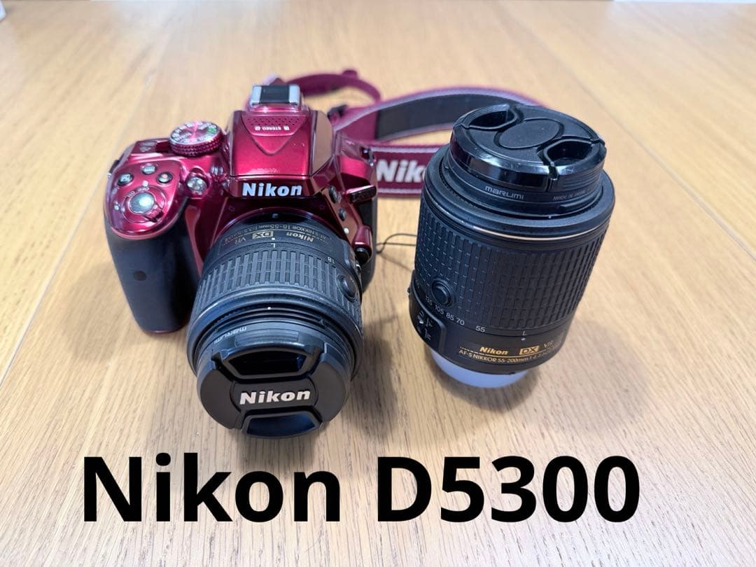 【希少色】Nikon D5300 デジタル一眼レフカメラ ダブルズームキット