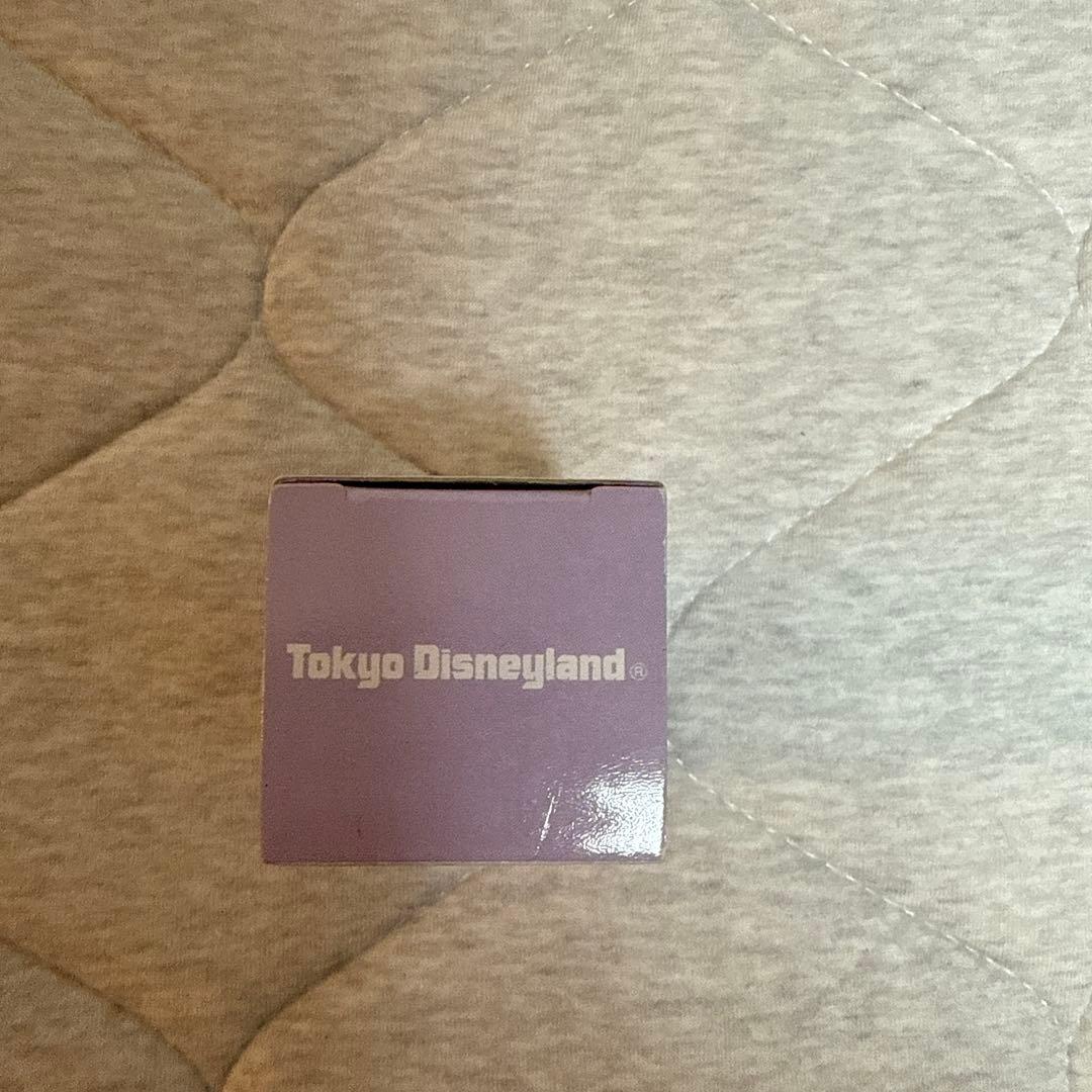 ディズニー　トミカ　カボチャの馬車　紫箱