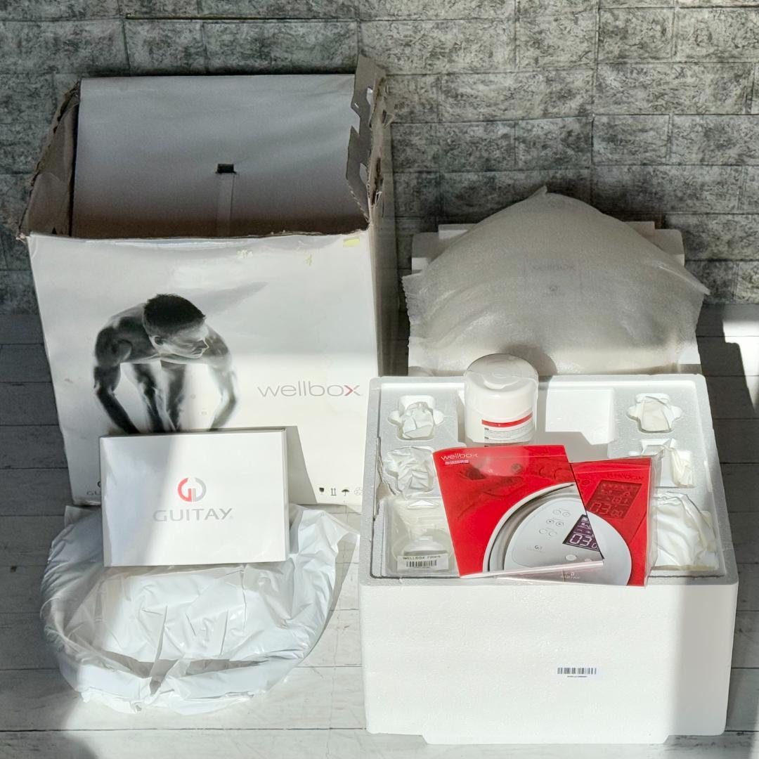 希少新品❗️GUITAY「Wellbox」家庭用エンダモロジー