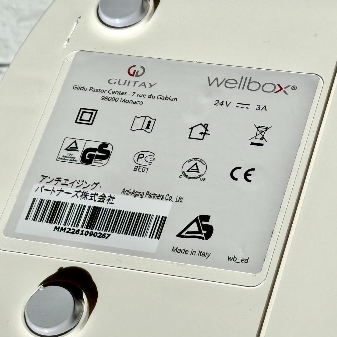 希少新品❗️GUITAY「Wellbox」家庭用エンダモロジー