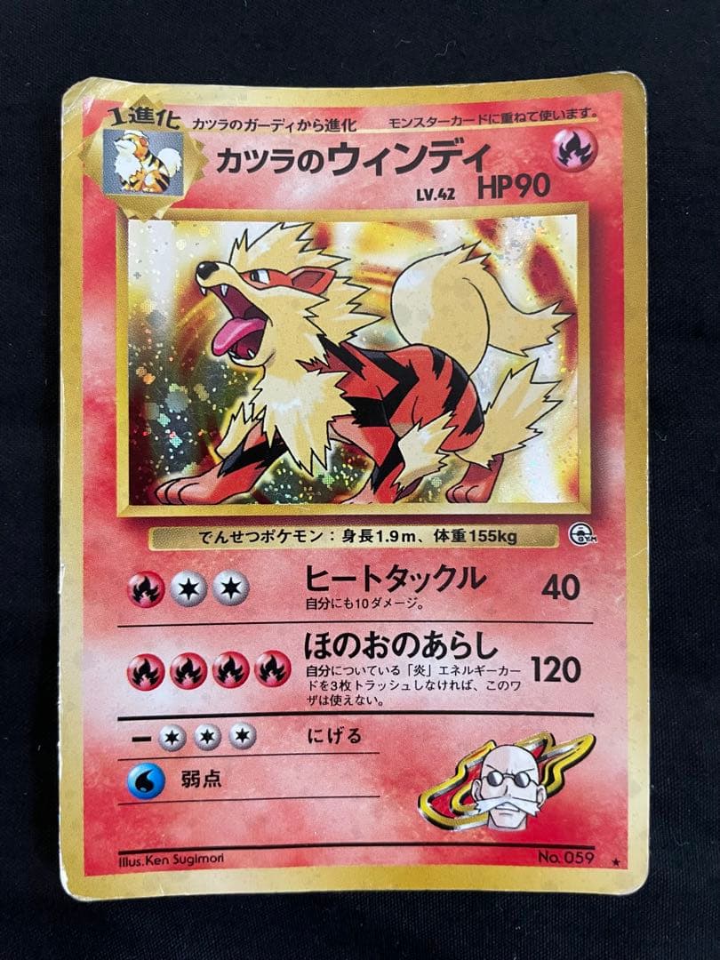 カツラのリザードン2枚セット カツラのウィンディ1枚