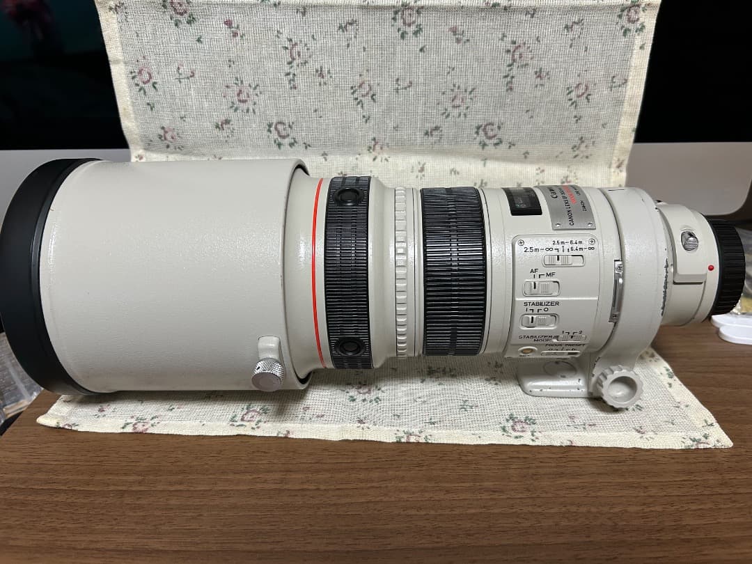 【なお-R】CANON EF300mm 1:2.8 L IS USM