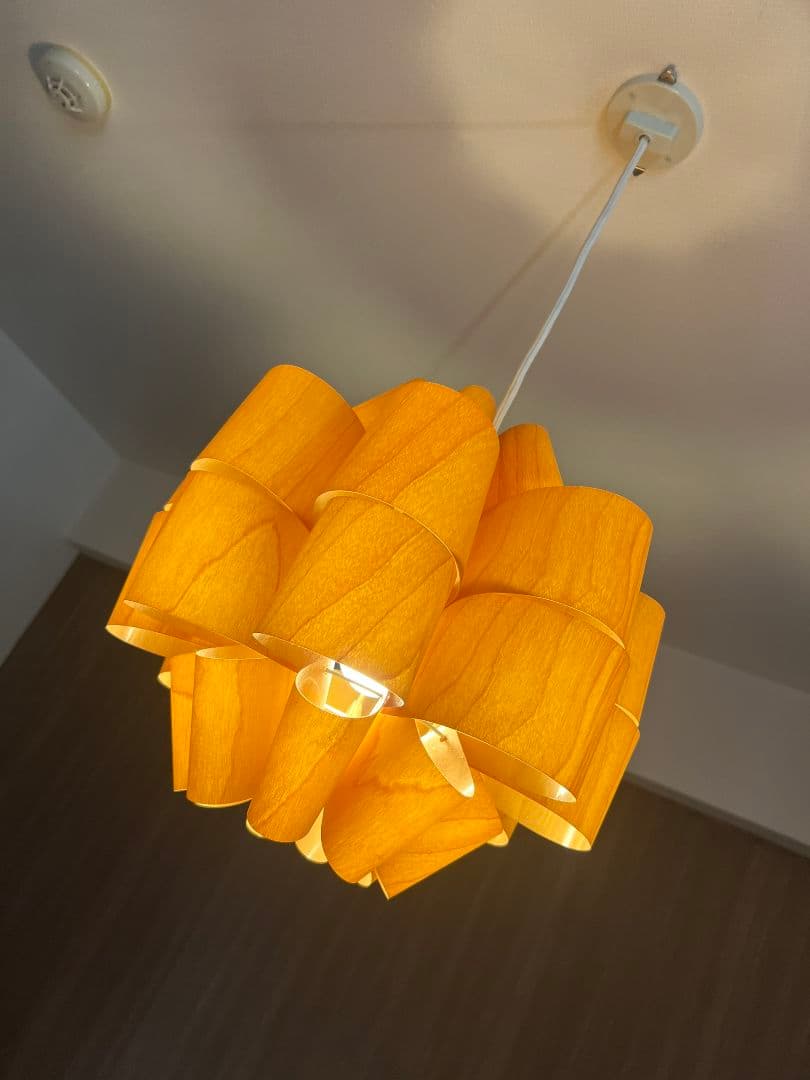 谷俊幸 DON-WOOD 照明