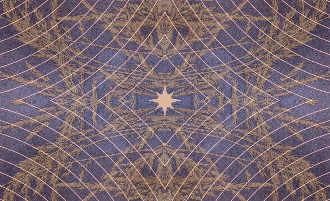 【正規品オラクルカード】超希少✨美しく幻想的な馬たちの知恵のオラクルカード