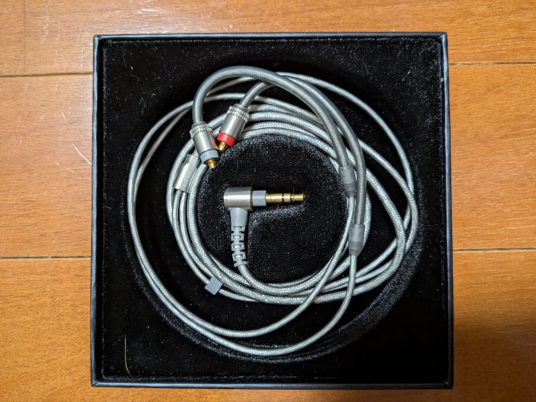 SONY IER-Z1R イヤホン ケース付き