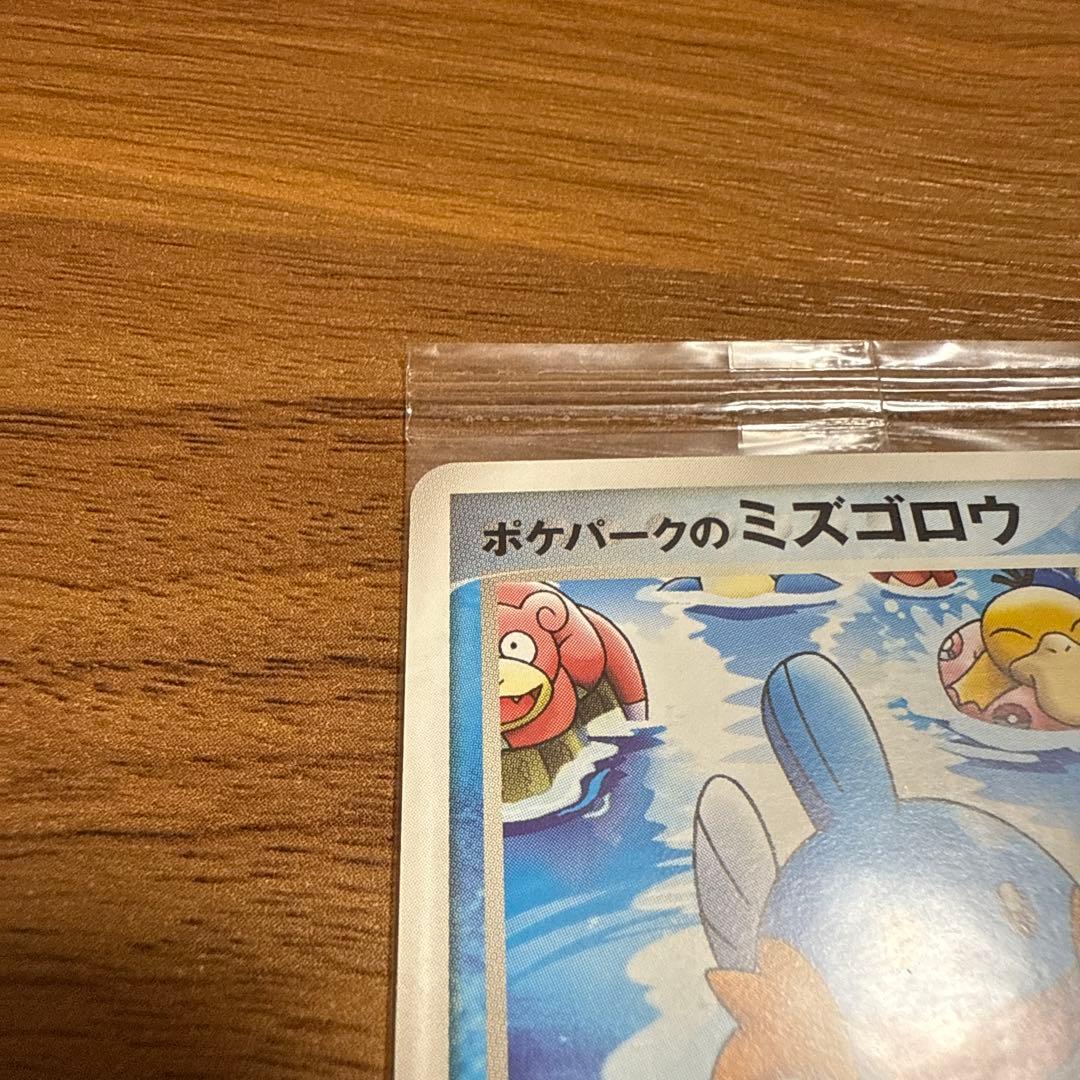 ポケモンカード ポケパークのミズゴロウ スプラッシュアドベンチャー 未開封