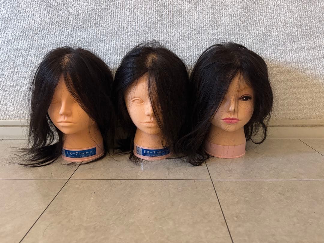 Regina EX-7 ウィッグ 3点セット　レジーナ　美容師　練習用