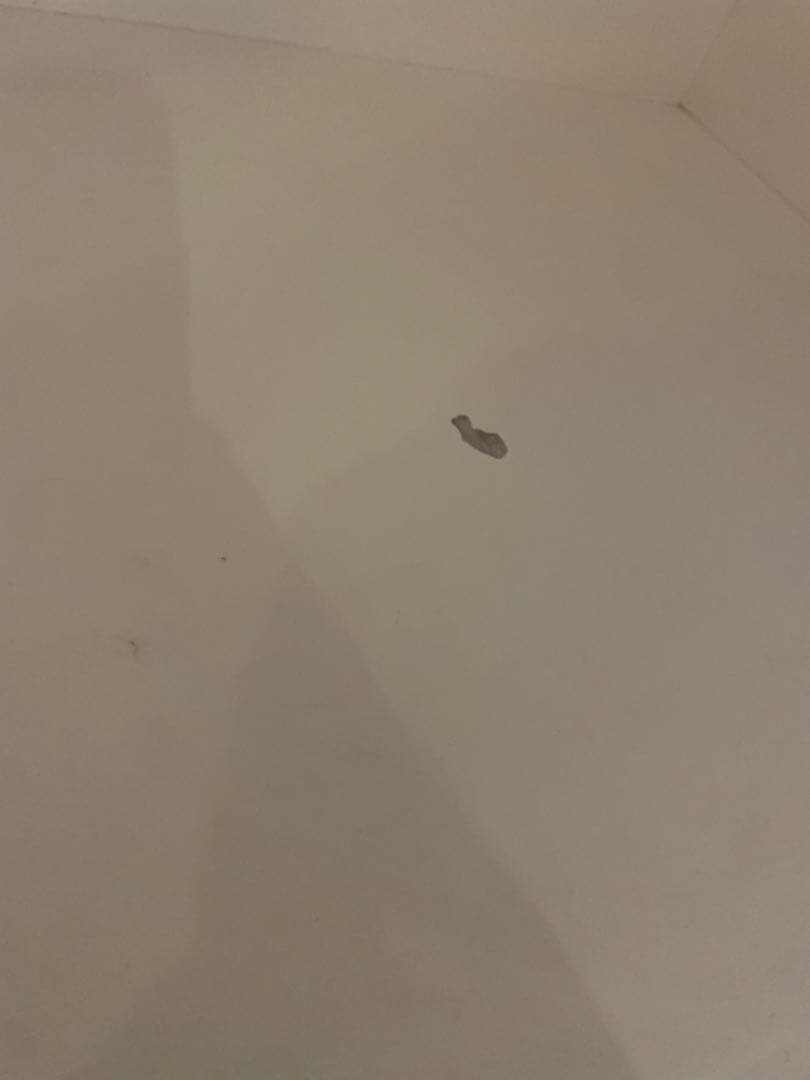 [大幅値下げ]ニトリ キッチンボード ポスティア100[最終]