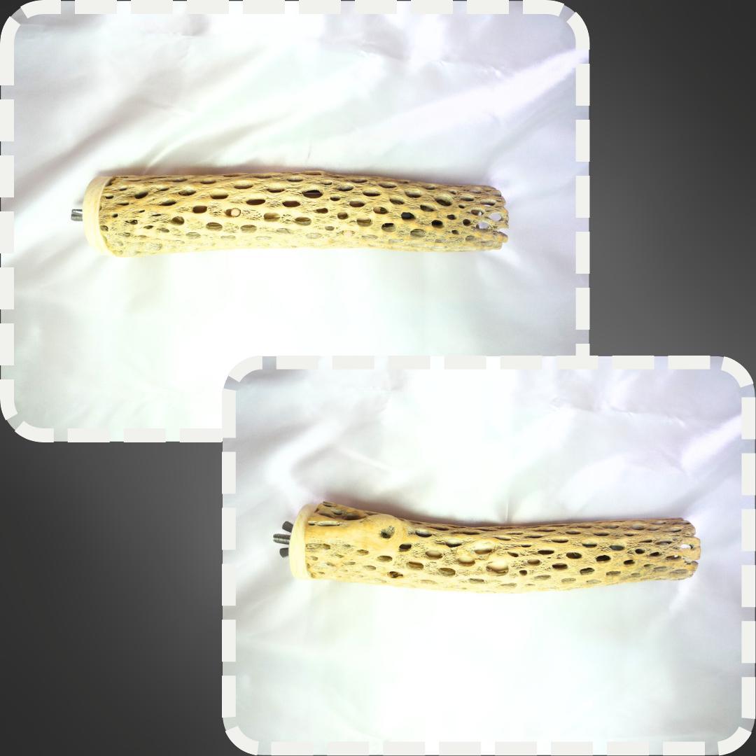 鳥用品　止まり木　カクタス　スケルトン　パーチ　超特大　No.233