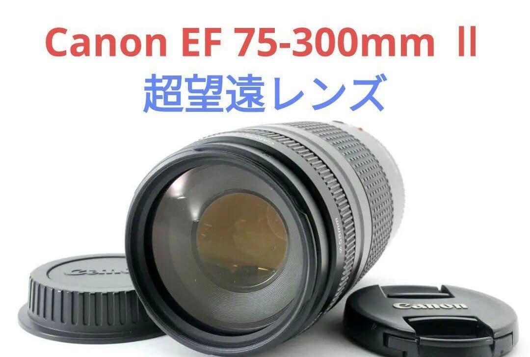 1月20日限定特価♪【超望遠レンズ】Canon EF 75-300mm Ⅱ