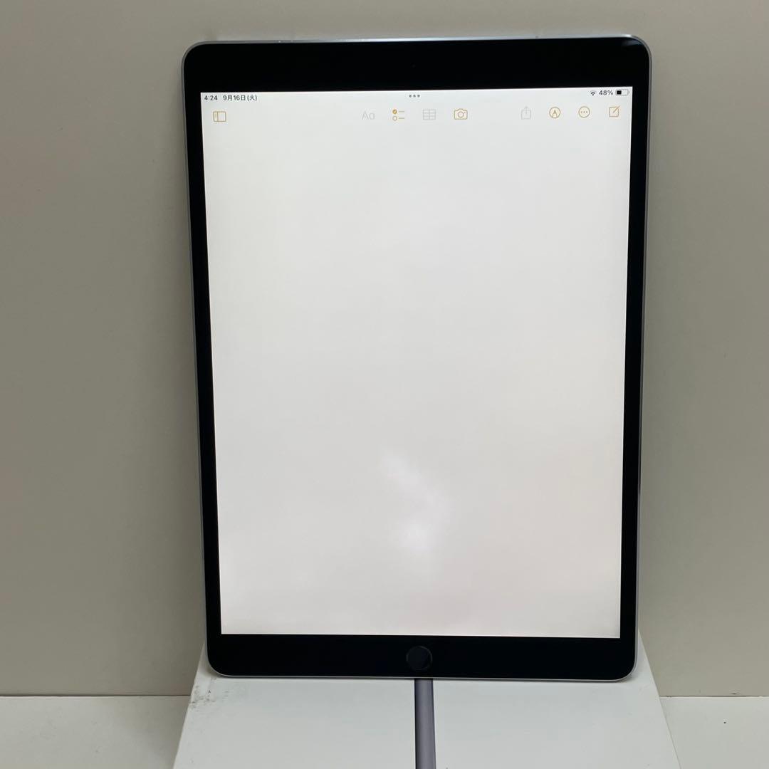 iPad Pro 10.5インチ 64GB Cellular 100%