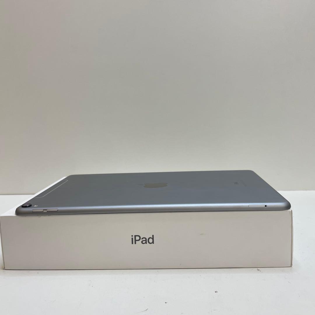 iPad Pro 10.5インチ 64GB Cellular 100%