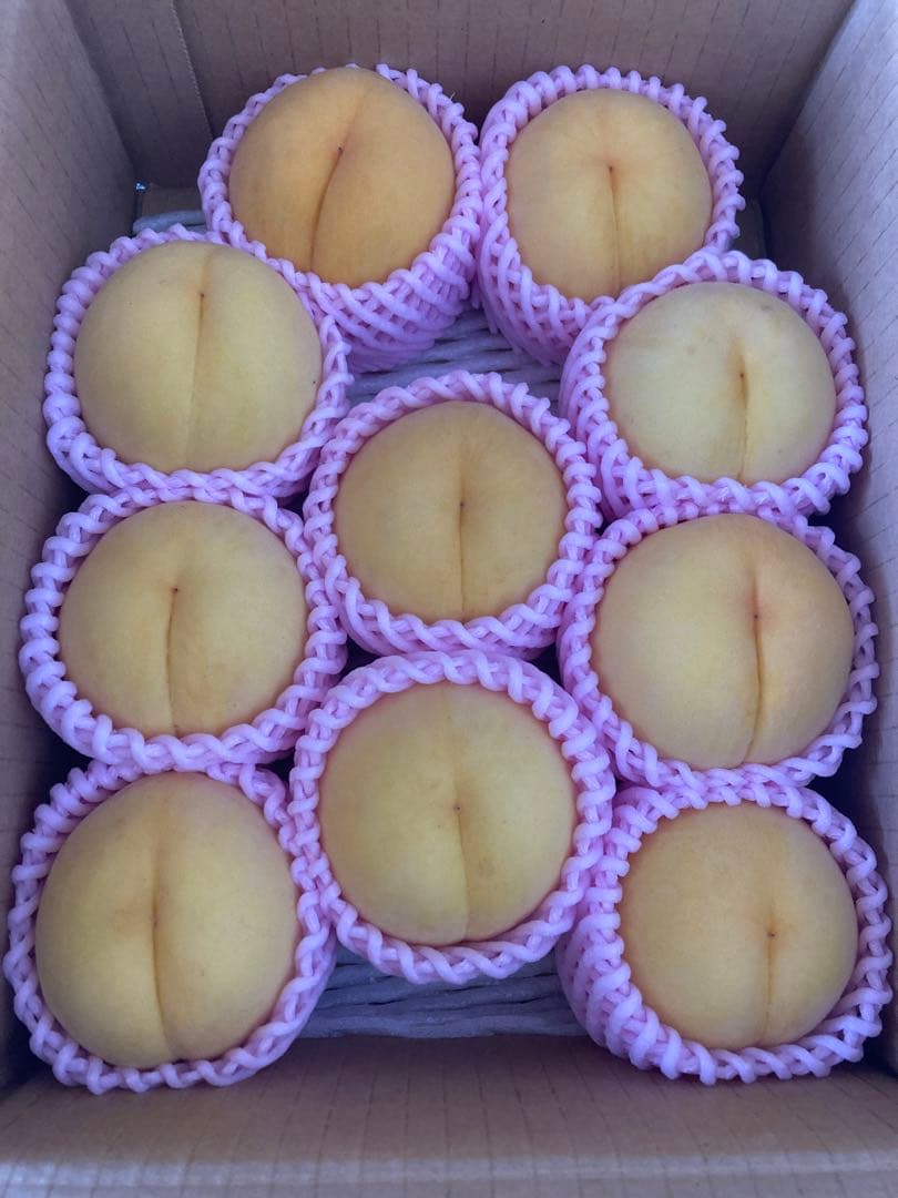 山形県産 減農薬栽培 桃 樹成り完熟黄桃「光月」ご家庭用 5キロ箱