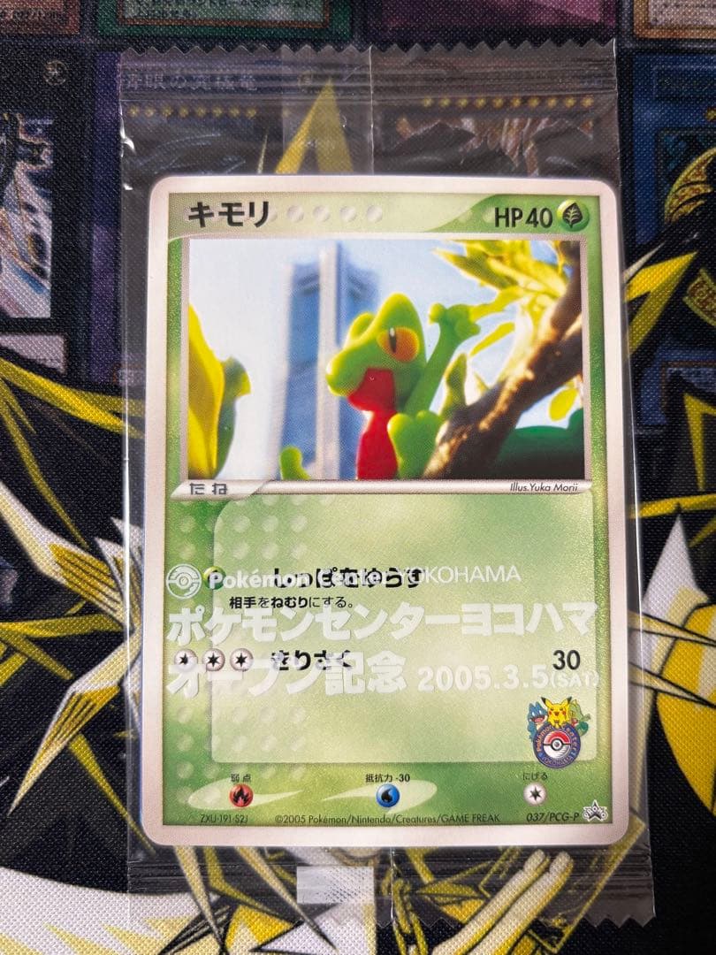 ポケモンカード キモリ ポケモンセンターヨコハマ プロモ 未開封