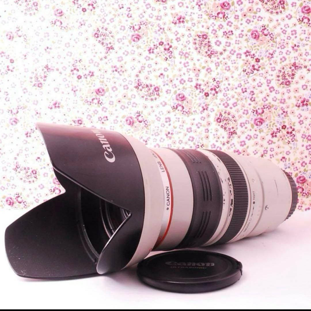 【光学美品】CANON EF 35-350mm 望遠ズームレンズ