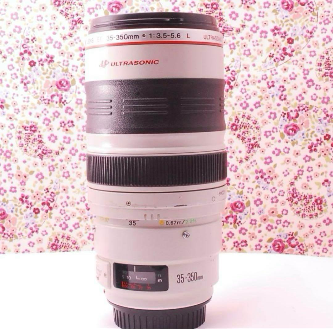 【光学美品】CANON EF 35-350mm 望遠ズームレンズ