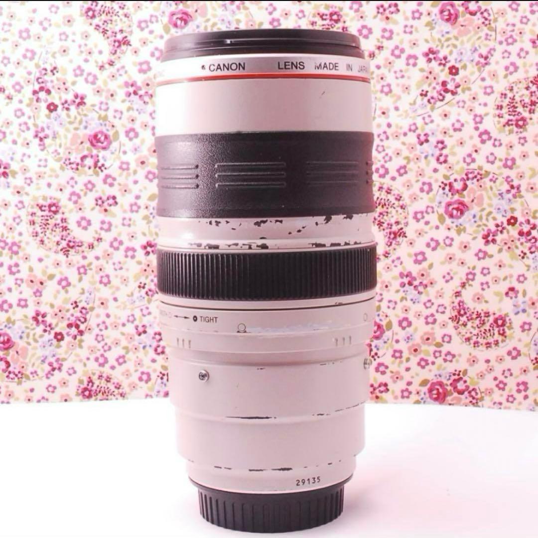 【光学美品】CANON EF 35-350mm 望遠ズームレンズ