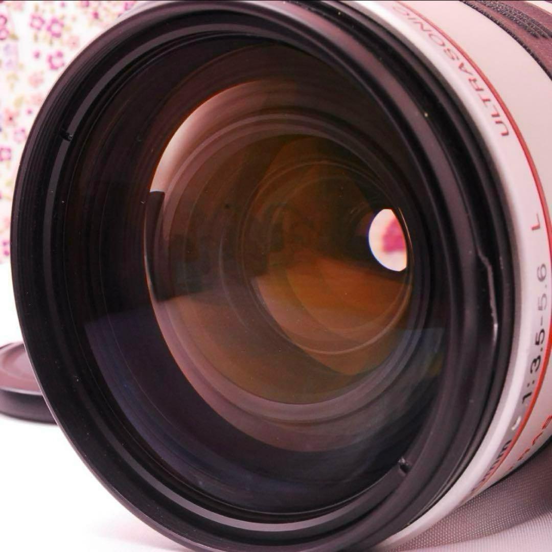 【光学美品】CANON EF 35-350mm 望遠ズームレンズ