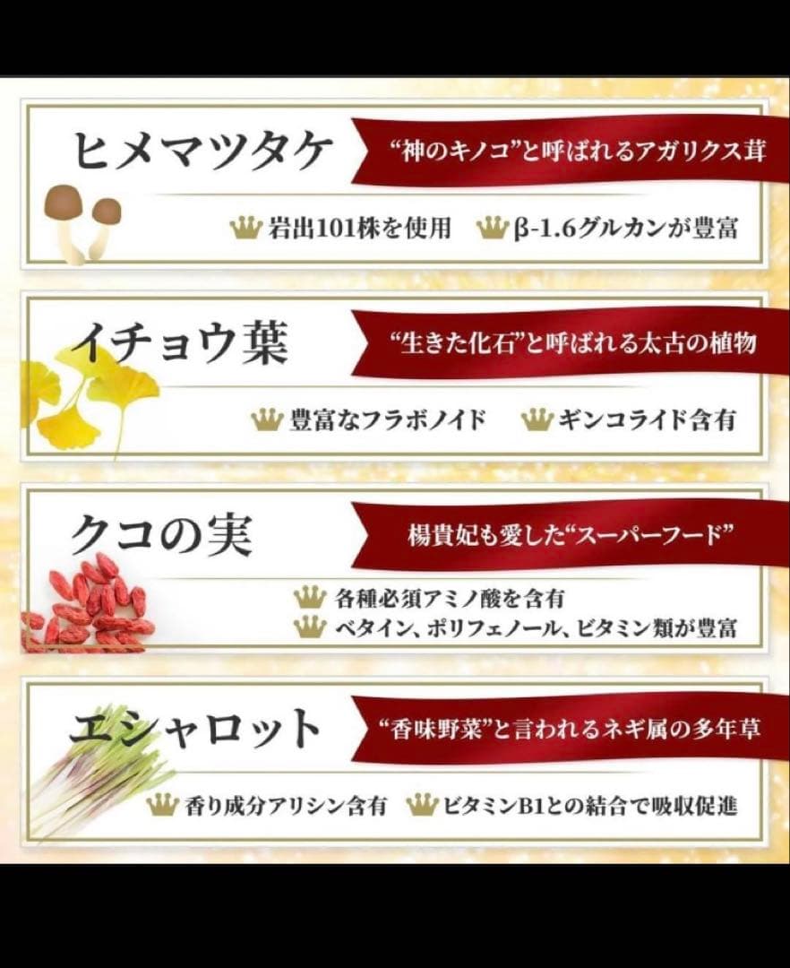 【早い者勝ちお一人様限定】マイクロアルジェ　阿拉善【未開封】