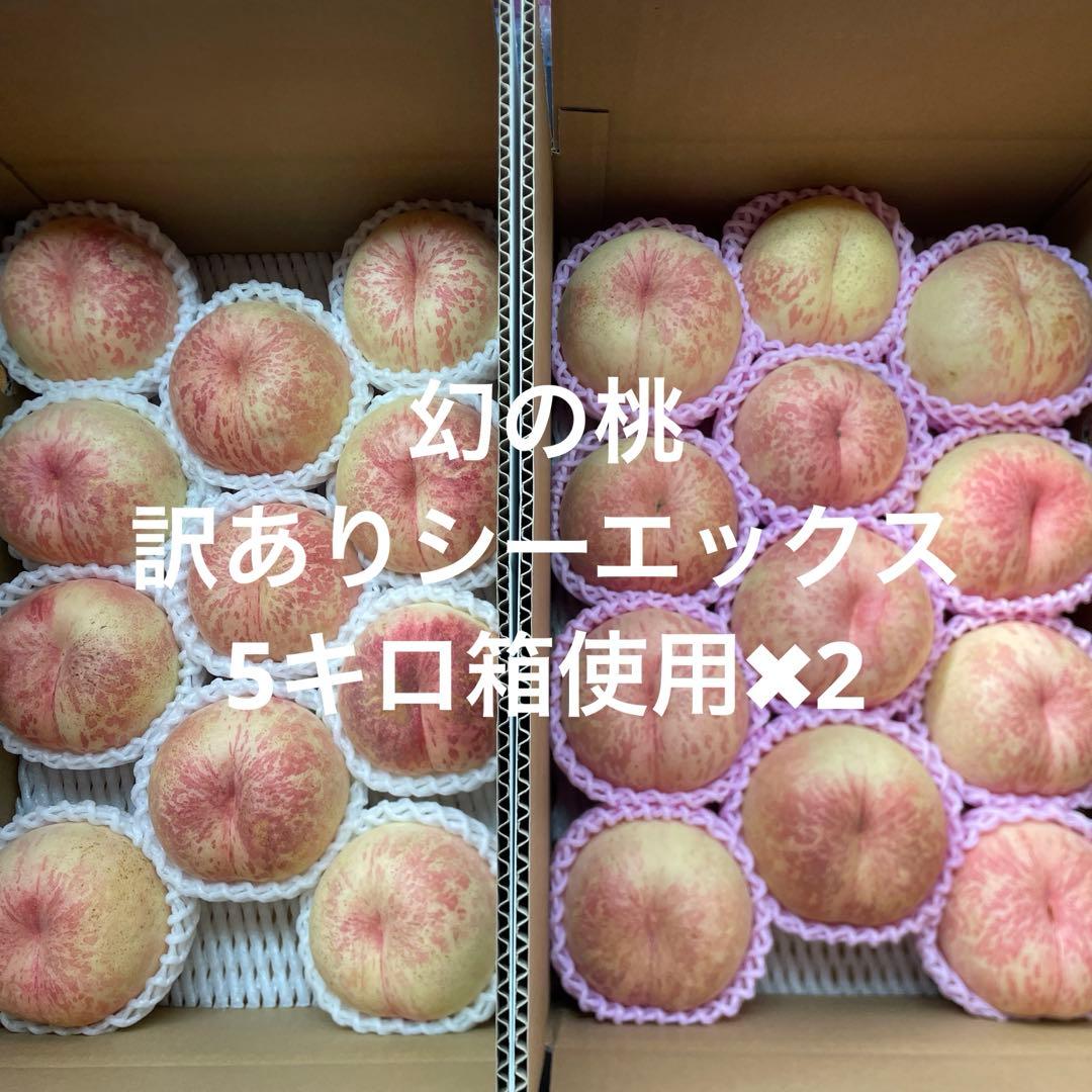 山形県産　桃①訳ありシーエックス　5キロ箱使用✖︎2